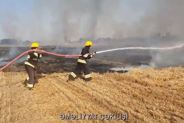 Kürdəmirdə dörd hektar biçilmiş taxıl sahəsi yandı - VİDEO
