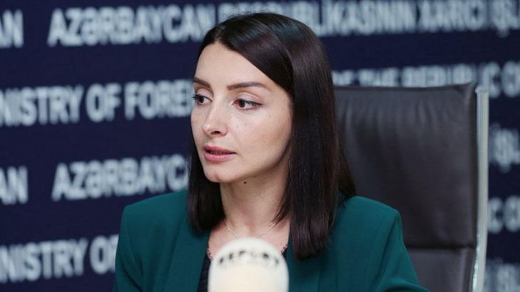 Leyla Abdullayeva: "Ermənistan XİN başçısı ölkədaxili neqativ reaksiyadan çox qorxur"